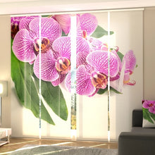 Laden Sie das Bild in den Galerie-Viewer, Foto-Schiebegardine &quot;Orchidee&quot;