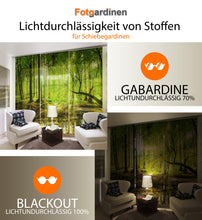 Laden Sie das Bild in den Galerie-Viewer, Foto-Schiebegardine &quot;schöner Bambus&quot;
